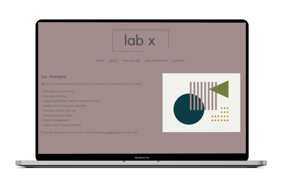 Preview image of the LABX website